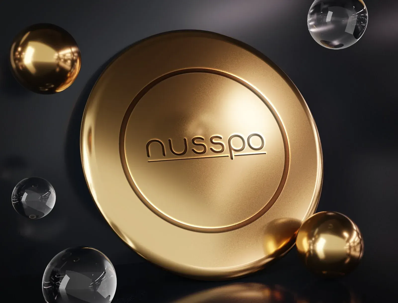 Nusspo için hazırlanan ambalaj & katalog çalışmasından 5. görsel (toplam 17)
