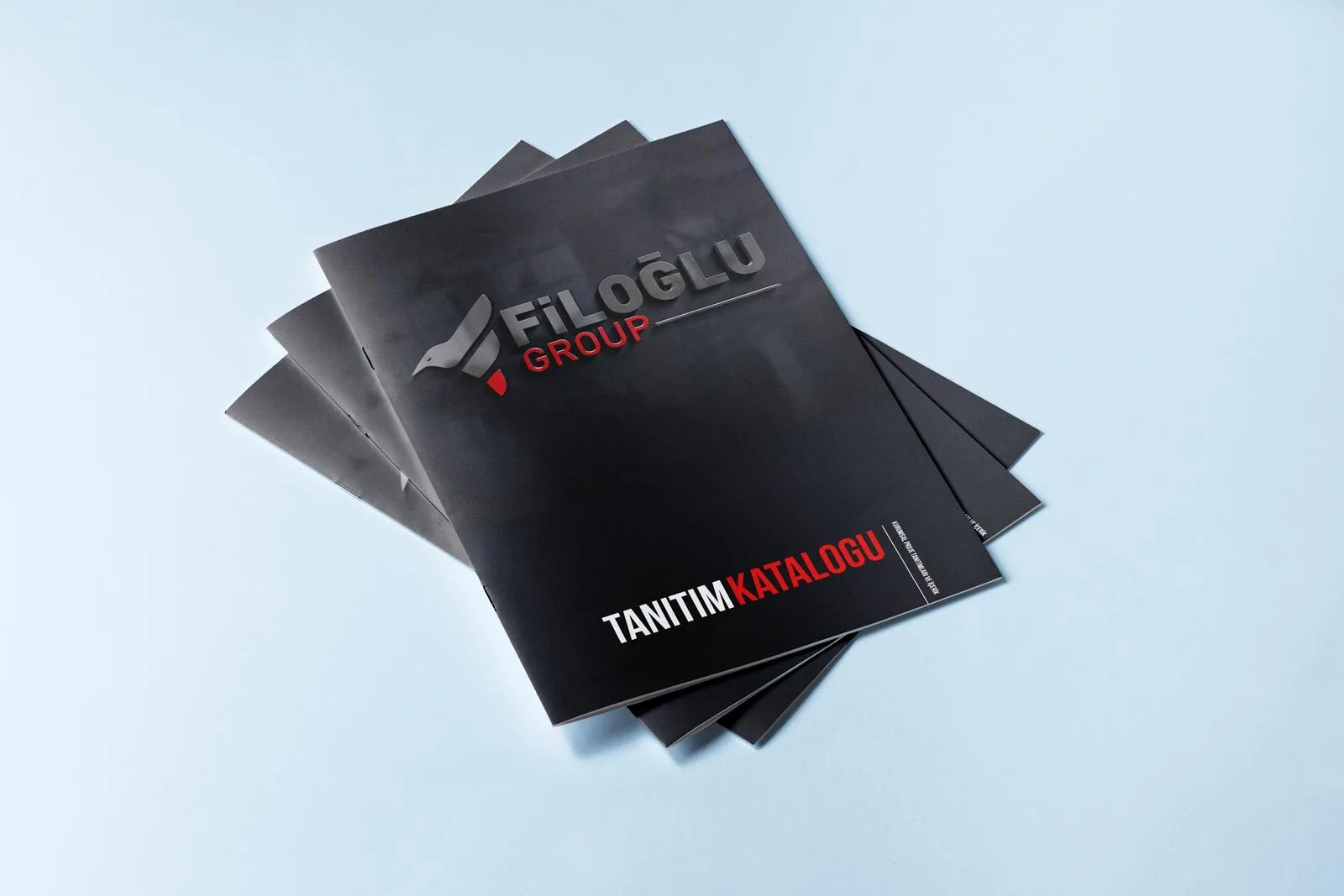 Katalog Tasarımları için hazırlanan ambalaj & katalog çalışmasından 8. görsel (toplam 13)